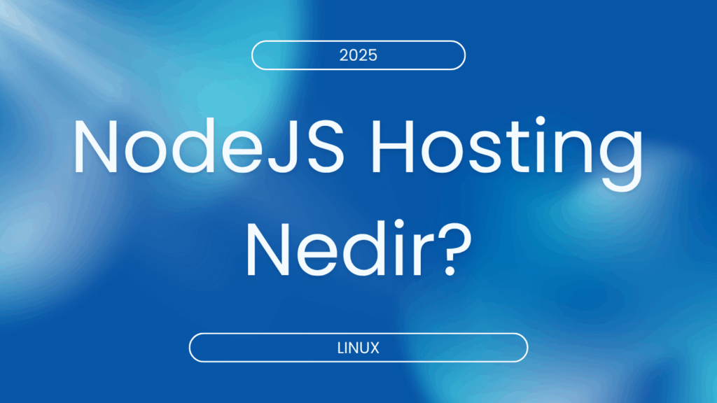 NodeJS Hosting Nedir?