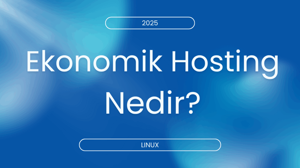 Ekonomik Hosting Nedir