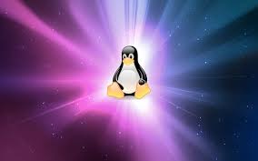 linux hosting nedir ve avantajları