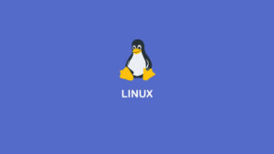 linux hosting kullanım alanları ve avantajları